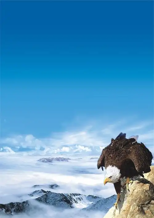 湄潭生产什么茶